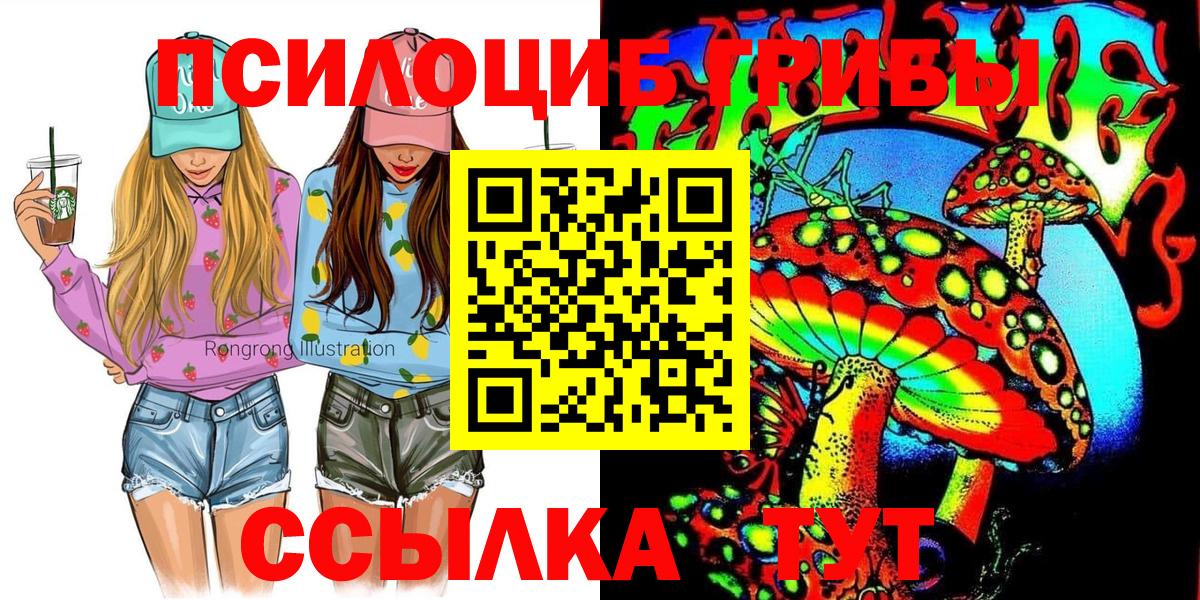Псилоцибиновые грибы Cubensis Добрянка