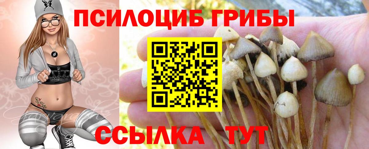 Добрянка  Галлюциногенные грибы Magic Shrooms  где купить наркоту  Вход с VPN 